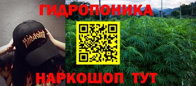 крисы Шебекино