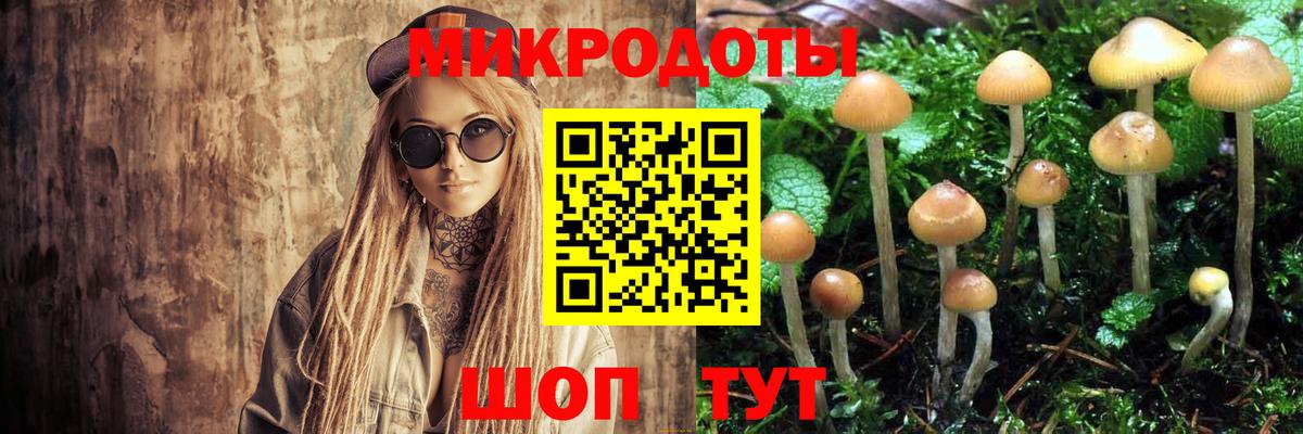 Псилоцибиновые грибы Magic Shrooms  Вход с VPN  Тавда 